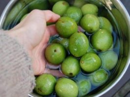 Настойка зеленых грецких орехов — уникальное лекарство от тяжелых болезней. Простое, но бесценное средство