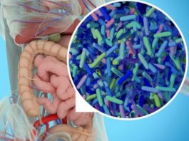Как восстановить микрофлору кишечника без лекарств: 10 способов в домашних условиях