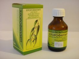 Знакомый Хлорофиллипт: 9 рецептов лечения болезней недорогим препаратом
