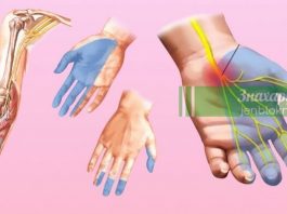 Почему немеют руки: 7 причин, которые заставляют задуматься о здоровье