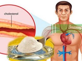 Лучшее лекарство против холестерина и высокого кровяного давления