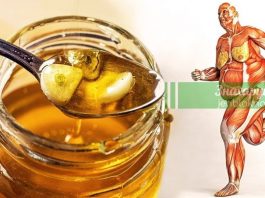 Избавляемся от проблем с желудком с помощью обычного мёда