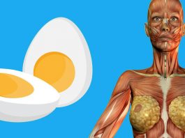 9 пpичин съeдать пo 2 яйца на завтpак