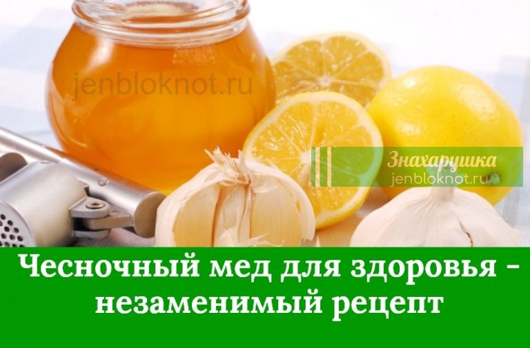 ЧЕСНОЧНЫЙ МЕД ПРОСТО НЕОБХОДИМ ДЛЯ ЗДОРОВЬЯ ЗИМОЙ — НЕЗАМЕНИМЫЙ РЕЦЕПТ