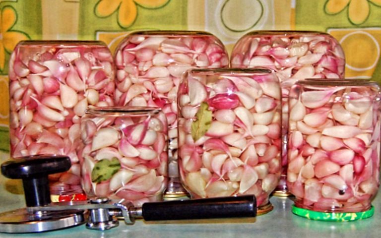 Маринованный чеснок: не только вкусная консервация, но и полезная для здоровья