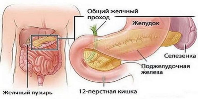Ни один врач не расскажет вам об этом. Лечение поджелудочной железы народными методами