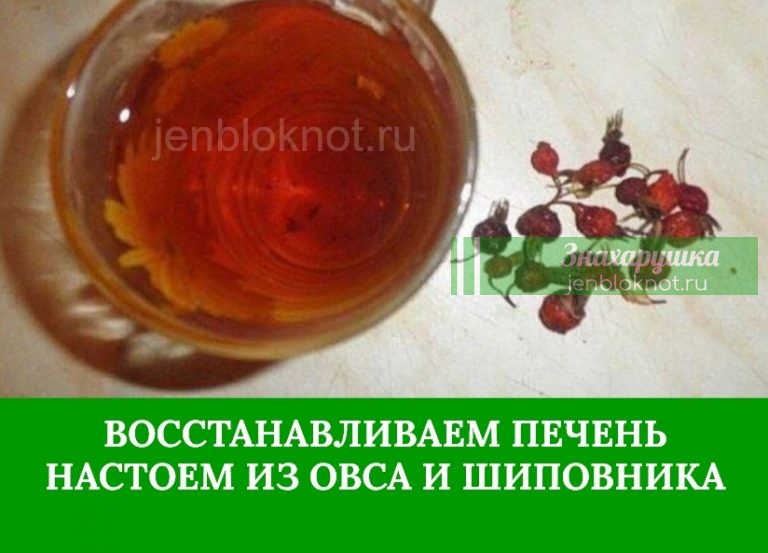 ОЧИЩАЕМ И ВОССТАНАВЛИВАЕМ ПЕЧЕНЬ НАСТОЕМ ИЗ ОВСА И ШИПОВНИКА