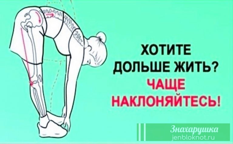 Хочешь жить дольше. Просто делай одно упражнение