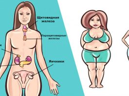 6 гормонов, которые мешают вам похудеть. Вот что делать с каждым из них