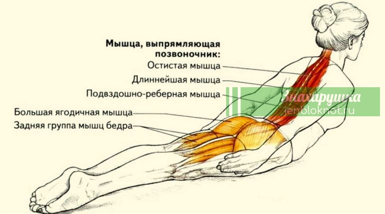 Утренняя тибетская гормональная гимнастика творит чудеса