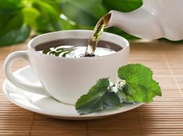 Вкусный чай из листьев шелковицы имеет в 22 раза больше кальция, чем коровье молоко