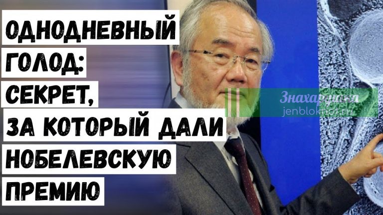 Однодневный голод: омоложение организма