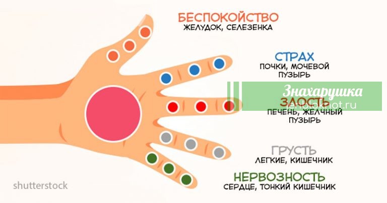 Уникальный японский метод самоисцеления за 5 минут. Каждый палец связан с определенными органами
