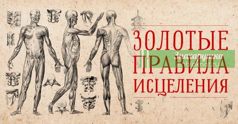 Врач: «Эти золотые правила самоисцеления работают лучше лекарств…»