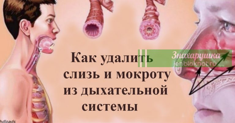 КАК МОЖНО УСТРАНИТЬ СЛИЗЬ И МОКРОТУ ИЗ ГОРЛА И ГРУДИ
