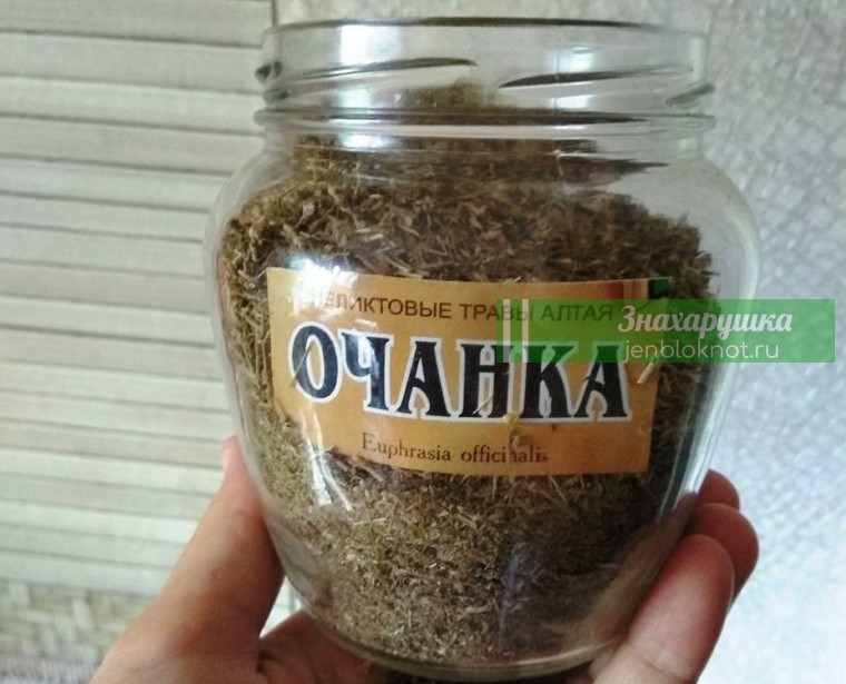 Очанка — трава, которая заменит окулиста. Спасительница зрения и памяти — если не лениться и правильно лечиться