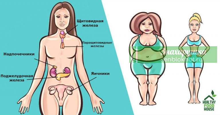 Есть 6 гормонов, которые не дают вам скинуть вес. Вот что делать с каждым из них