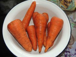 Морковь + изюм против камней в почках. Рецепт старого травника