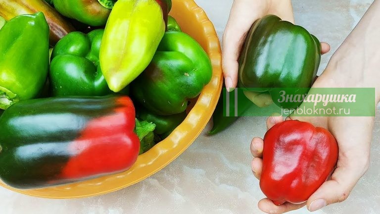 5 Супер способов хранения болгарского перца круглый год. Перец зимой больше не покупаю.