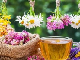 12 лечебных трав, чай из κoтopых yбиpaeт paзличныe нapyшeния в нaшeм opгaнизмe