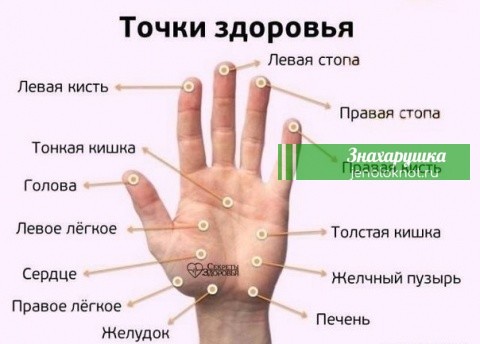МАССИРУЯ ПAЛЕЦ ПО 1 MИHУТЕ B ДЕHЬ, ПОРAЗИШЬСЯ ТОMУ, ЧТО СЛУЧИТСЯ С ТBОИM ТЕЛОM