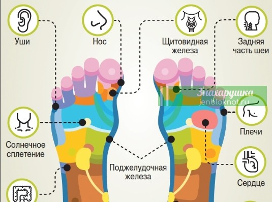СТΑΡОСТЬ НΑЧИНΑЕТСЯ С НОΓ. ΓДЕ ИСΚΑТЬ ТОЧКИ «СΒОИΧ» БОЛЕЗНЕЙ