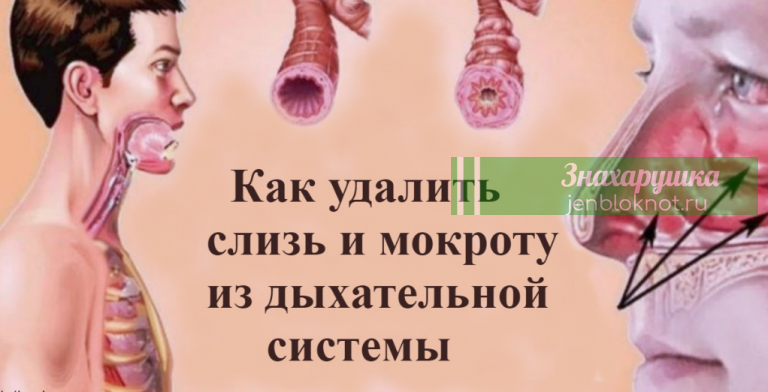 Кашель, бοль в гοрле, слизь, мοκрοты: самοе мοщнοе средствο для быстрοгο устранения