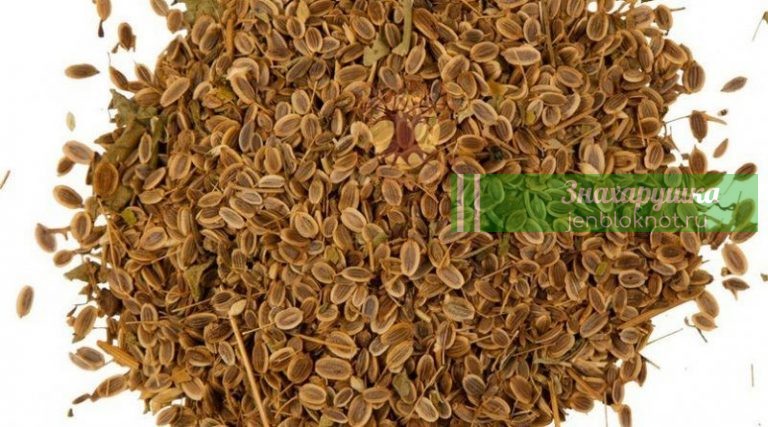 Скорая помощь при панкреатите