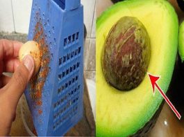 Узнайте почему не надо выбрасывать косточки авокадо