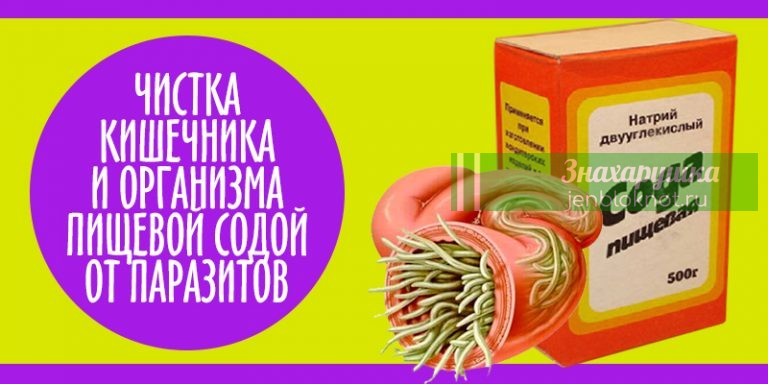 Глисты пулей «вылетят» за ночь. Народное средство за 1 рубль