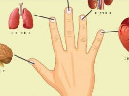 Каждый палец связан с 2-мя органами: японские методы лечения за 5 минут