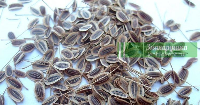 Эти рецепты — скорая помощь при панкреатите