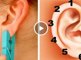 Китайский прием: волшебные точки вашего уха излечат от 100 болезней