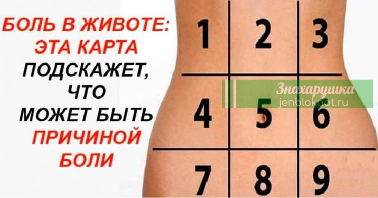 Карта причин болей в животе