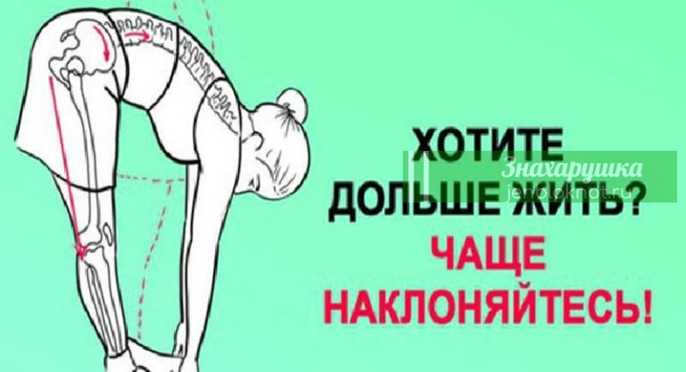 Хочешь жить дольше. Надо чаще наклоняться