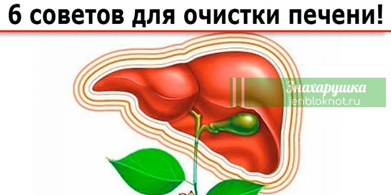 6 ПОЛЕЗНЫХ СОВЕТОВ ДЛЯ ЧИСТКИ ПЕЧЕНИ