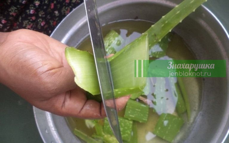 Настойка, которая вылечивает неизлечимые болезни