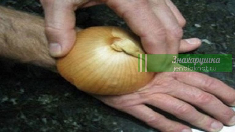 Эти болезни лук лечит лучше таблеток