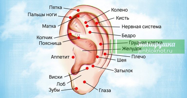 Как правильно делать массаж ушей
