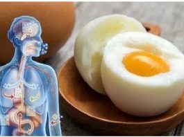 Начните есть два яйца в день, и эти девять изменений произойдут в вашем теле