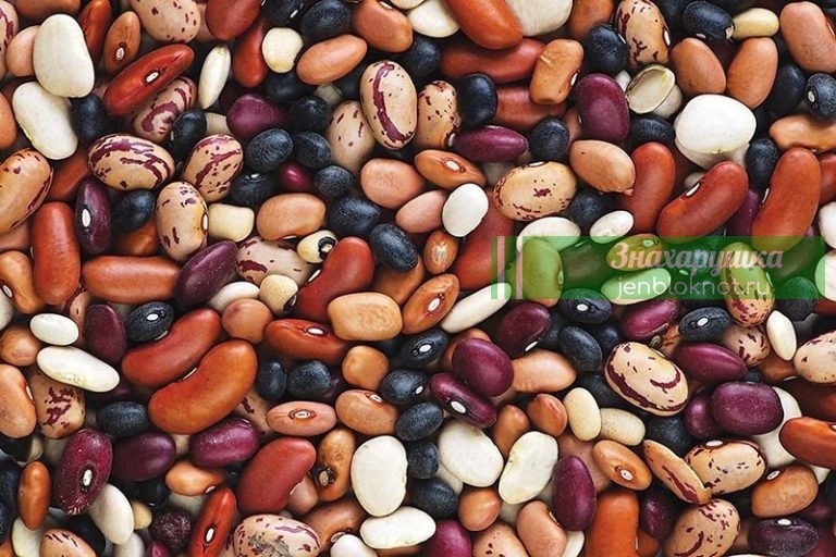 Этот доступный продукт ученые назвали «главным» источником долголетия