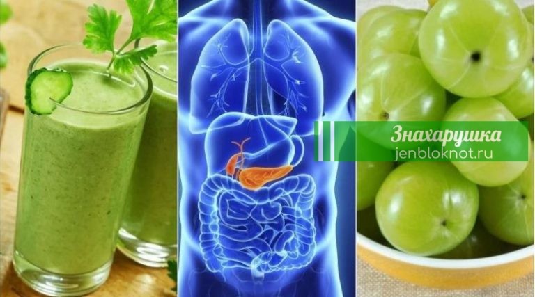 Как очистить поджелудочную железу: 5 натуральных средств