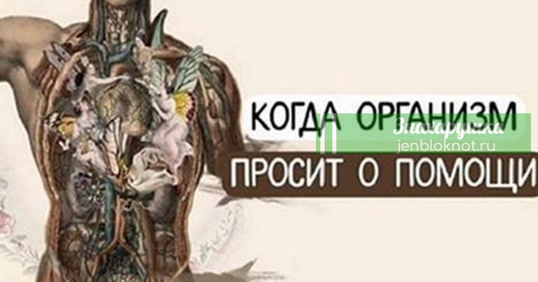 Когда организм просит о помощи: 15 важных сигналов