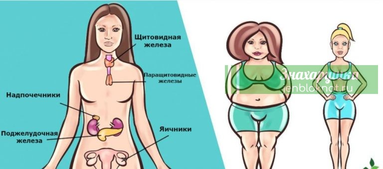 Есть 6 гормонов, которые мешают вам похудеть. Вот что делать с каждым из них