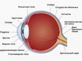 Зрение возвращается без операции