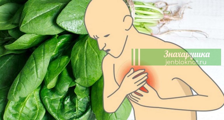 17 набитых магнием продуктов, которые защитят от тревожности и инфаркта