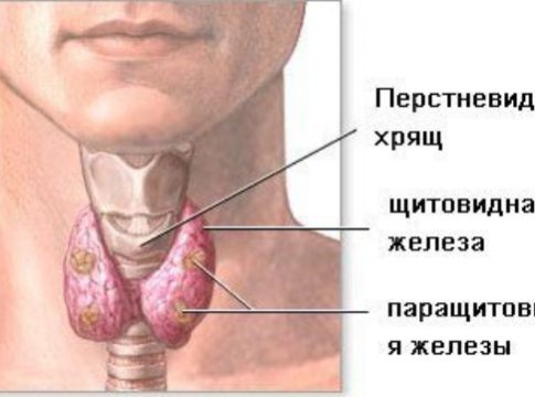 Симптомы Увеличения Щитовидной Железы Фото