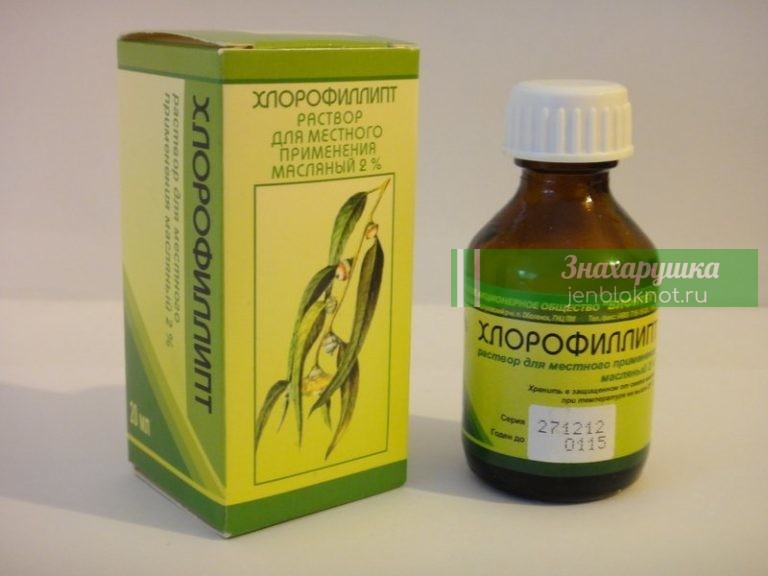 Знакомый Хлорофиллипт: 9 рецептов лечения болезней недорогим препаратом