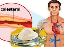 Лучшее средство борьбы с холестерином и высоким артериальным давлением