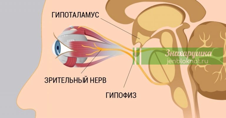 8 шагов к улучшению и восстановлению зрения. Работает, даже если ты носишь очки